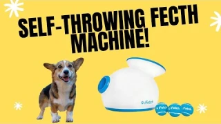 iFetch: First Impressions and Review