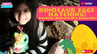 NEW Furreal Munchin' Rex Baby Dinosaur Toy Review. Dinosaur Eggs Hatching!  Amy Adventureland
