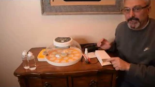 Product Review: Egg Incubator featuring Automatic Egg Turning and Humidity Display!