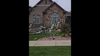 Life-size skeletons take over Utah neighborhood ahead of Halloween