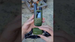 JUGBOW Smart Dog Collar Feature Overview #pets