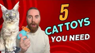 TOP 5 Best Cat Toys (Our Cats Tested Them All)!