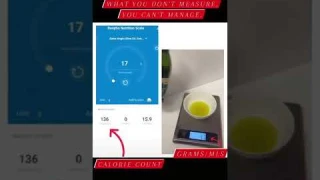 Measure Your Macros Accurately | The RENPHO Smart Food Scale