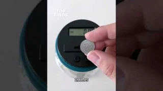 Does This Coin Counting Bank Work?