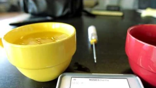 Thermocouple Wireless Temperature Probe