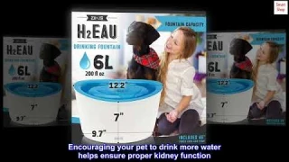 ZEUS Fresh & Clear Elevated Dog and Cat Water Dispenser