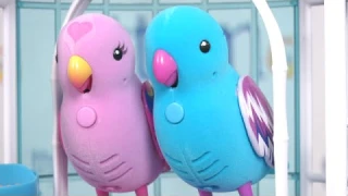 Little Live Pets Tweet Talking Birds from Moose Toys