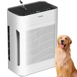 Large Room Air Purifier with H13 HEPA Filter and PM 2.5 Sensor — Air Purifier, TERAIR