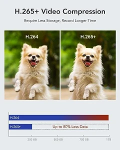 16 Channel Security Camera System — Security Camera, Annke