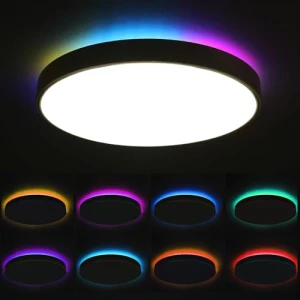 Smart LED Ceiling Light — Smart Light Bulb, HOREVO