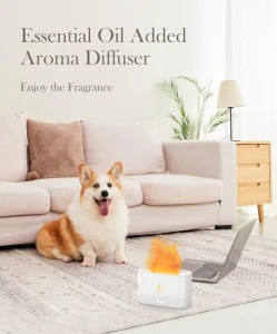Flame Air Diffuser Humidifier — Essential Oil Diffuser, Aegci