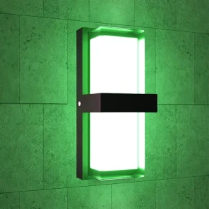 Color Changing LED Outdoor Wall Lights, WISELUME