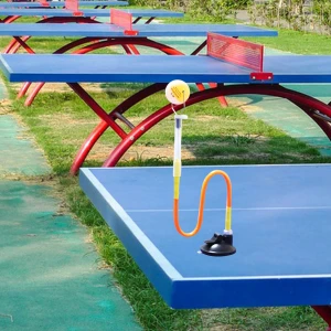 Table Tennis Trainer, Toy Story