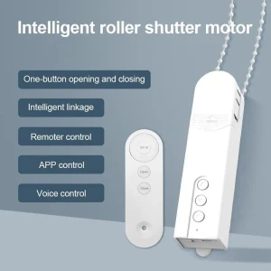 Smart Motor for Blinds, Photography