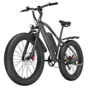 Electric Bike, GOGOBEST