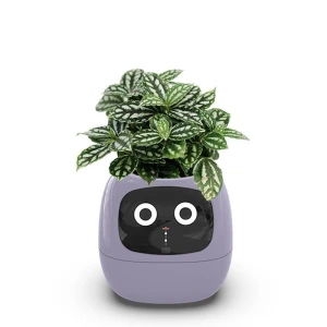 Smart Pot Ivy, Tuya