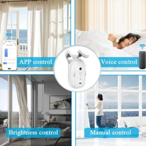 Automatic Curtain Opener, Computer Life