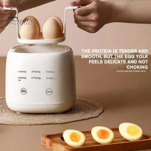 Electric Egg Cooker with Touch Screen, Kitchen artifact