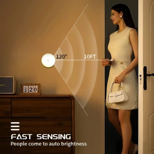 Smart Motion Sensor Night Light, Build My Home