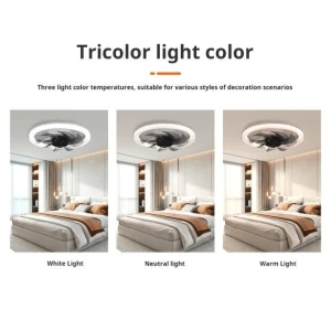 Smart Silent Ceiling Fan with Light — Smart Fan, Household Good