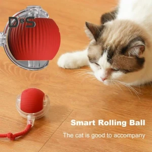 Interactive Cat Toy with Rolling Ball — Automatic Cat Toy, Kitty Cat House