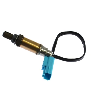 Oxygen sensor, Tesla Car parts
