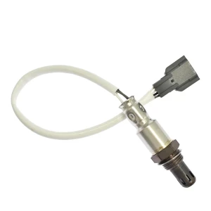 Oxygen sensor, Tesla Car parts