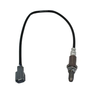 Oxygen sensor, Tesla Car parts
