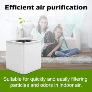 Air Purifier Filter Replacement — Air Purifier, Musslan