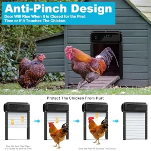 Automatic Chicken Coop Door