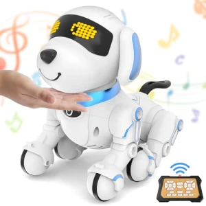 Robot Dog for Kids — Robot Pet, Dwi Dowellin