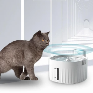 Automatic Circulation Water Fountain, Holland Pia