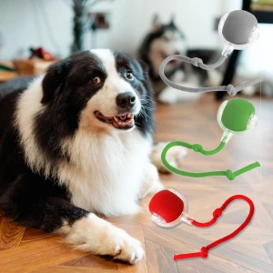 Interactive Pet Toy Ball, kaixindianpu