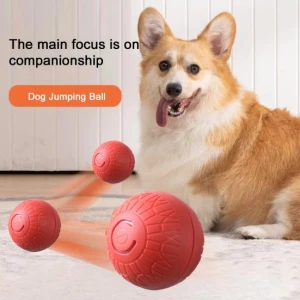 Interactive Pet Toy Ball, yangyizhi