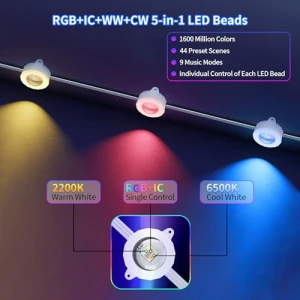 Permanent Outdoor Lights, URCAMS