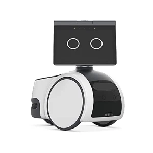 Household robot for home monitoring, Amazon