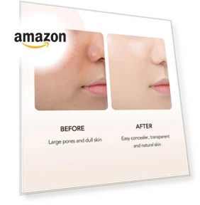 Mushroom Head Air Cushion BB Cream Foundation — Blush, O'CHEAL