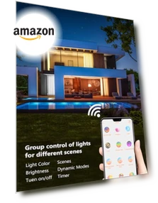 Smart Recessed Lighting — LED, RICHSING
