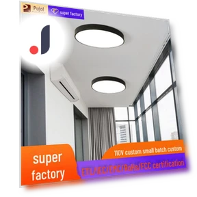 Individual LED Ceiling Light with Voice and Motion Sensor — Overhead Lighting, Toys Space
