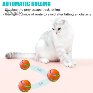 Interactive Smart Ball for Dogs, Pet park