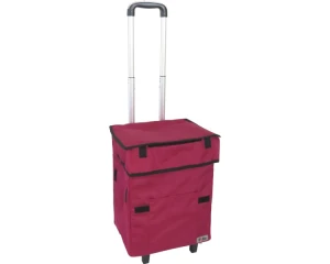 Smart Shopping Bag with Egg Holder, Fujisho