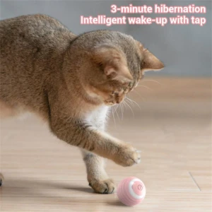 Smart Pet Toys, Two Shy Girl