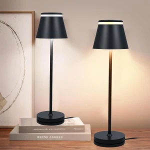 Modern LED Desk Lamp, Tomshine