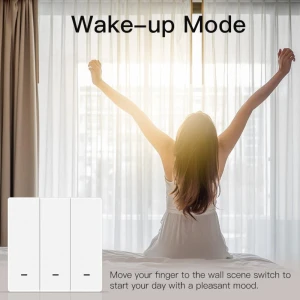 Smart Scene Switch Push Button — Smart Switch, Homeware Essentials