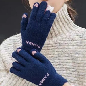 Winter Touchscreen Gloves, Auto Home Solutions