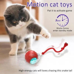 Interactive Rolling Toy for Cats, All in Watch