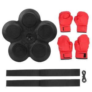 Smart Musical Boxing Trainer, ZuiyouBaby1