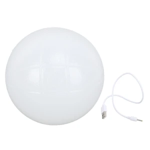 Smart Training Ball, ZuiyouHome2