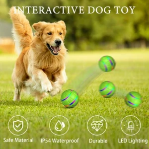 Interactive Dog Toy Ball, Dainty