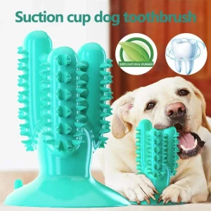 Dog Dental Training Toy, Smart Pet Supplies